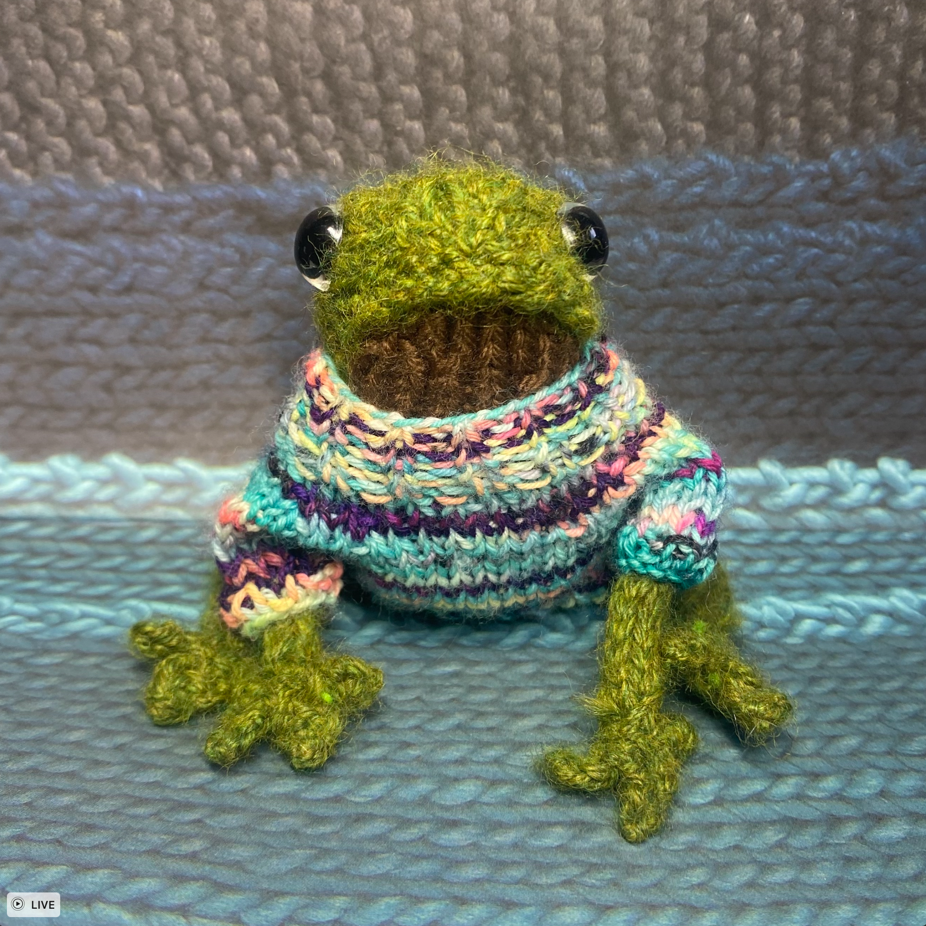 A dapper green and brown frog sits crouched on a dark grey, dark blue, and light blue background. The frog is modelling a bright, multi-coloured knit sweater.